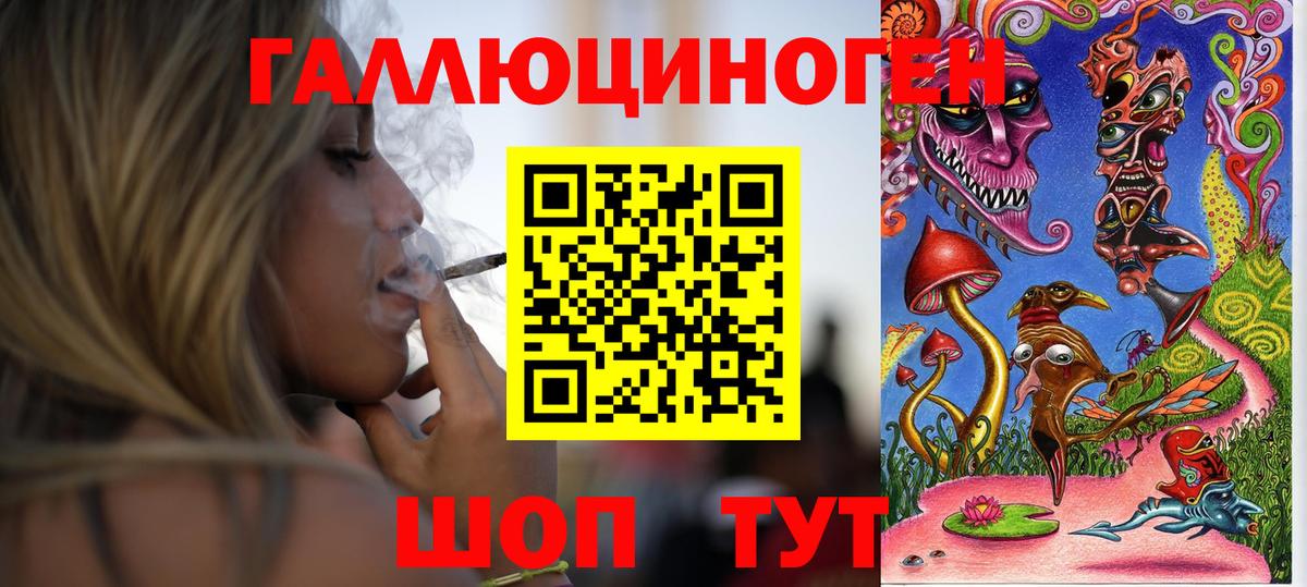 Галлюциногенные грибы Cubensis Ефремов